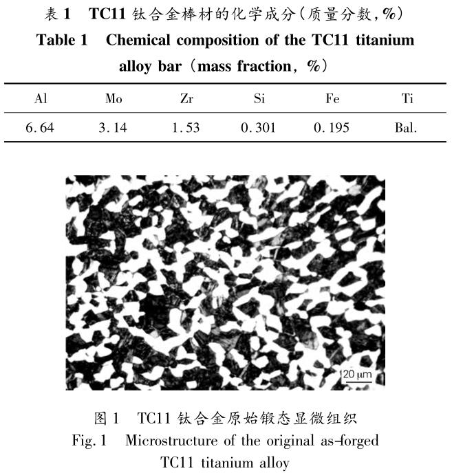 b1-t1.jpg