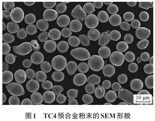 粉末冶金法制备细晶TC4钛合金的微观组织与力学性能
