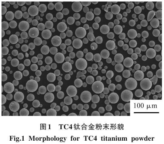 人工植入缺陷对增材制造TC4钛合金性能的影响规律