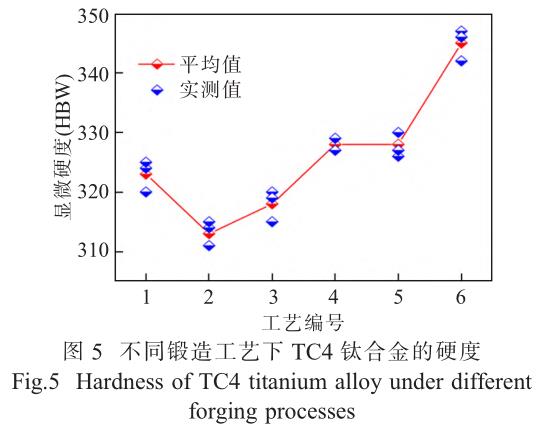 t5.jpg