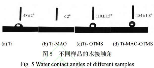 1738590144344191.png 截图20250203213656.png